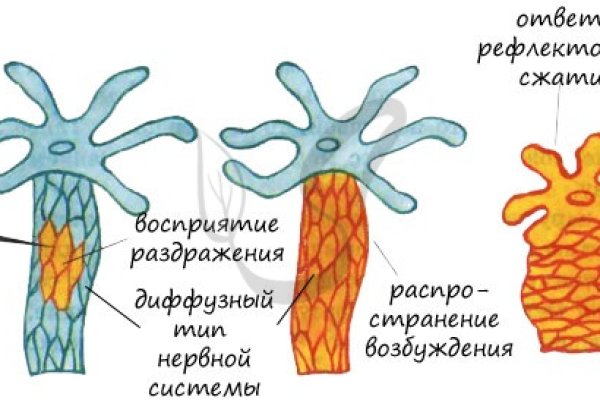 Кракен даркнет аккаунт